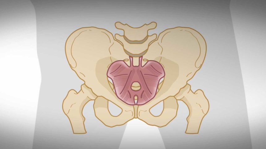 Pelvic Floor Muscle Exercise against Bladder Weakness and Ailments of the Ilio Sacral Joint